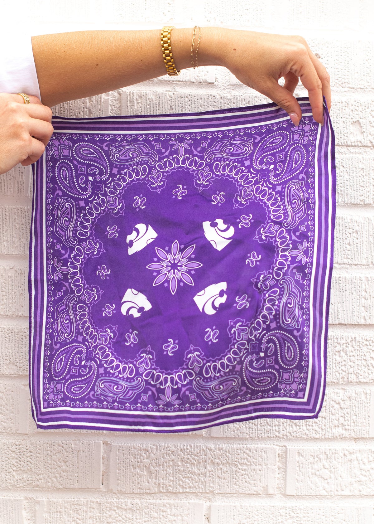 Powercat + Paiselys Silk Hankerchief