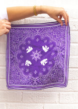 Load image into Gallery viewer, Powercat + Paiselys Silk Hankerchief
