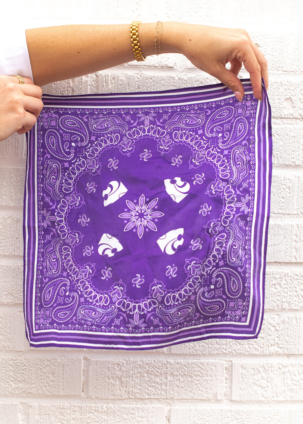 Powercat + Paiselys Silk Hankerchief
