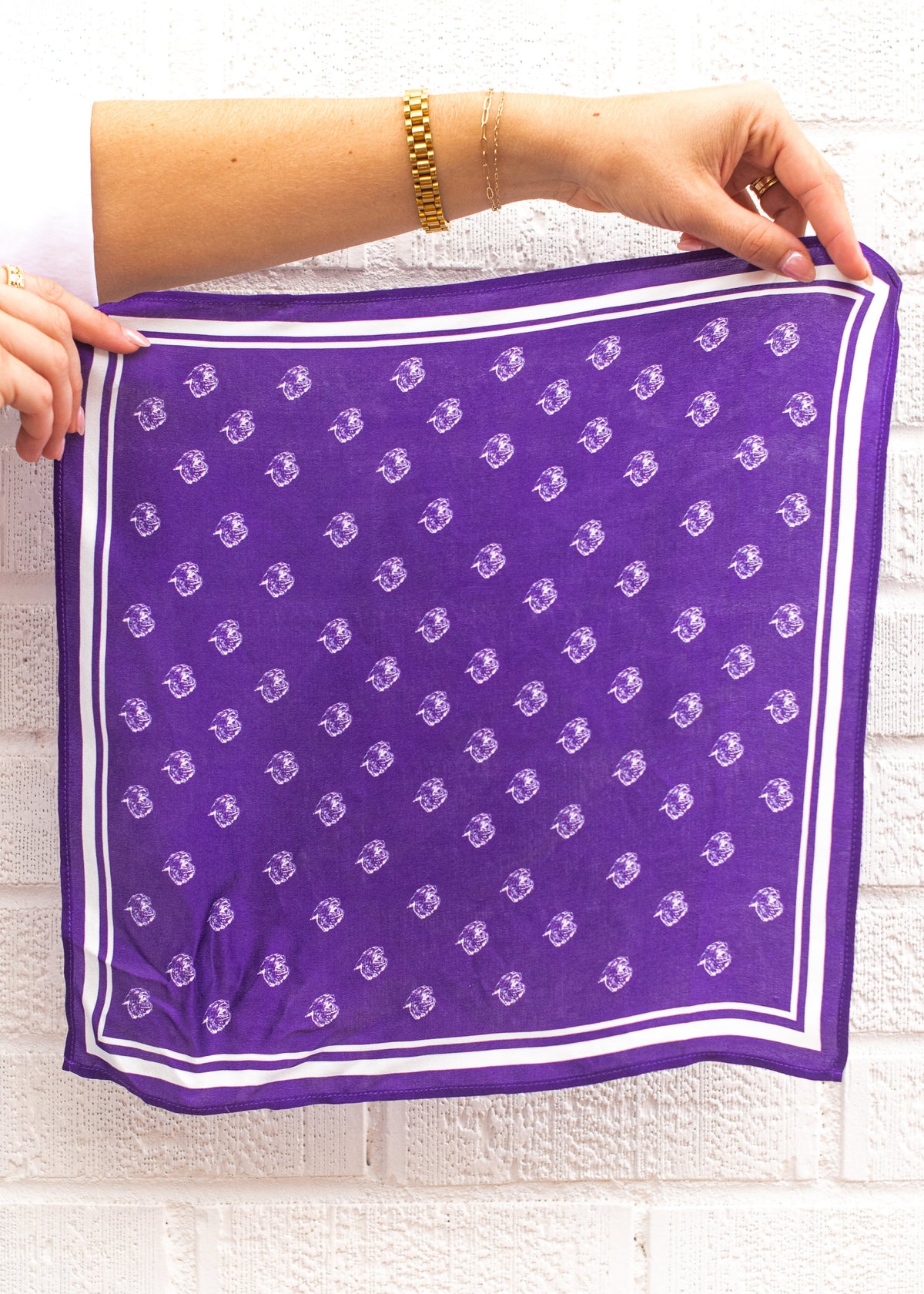 Vintage Ratty Cat Silk Hankerchief