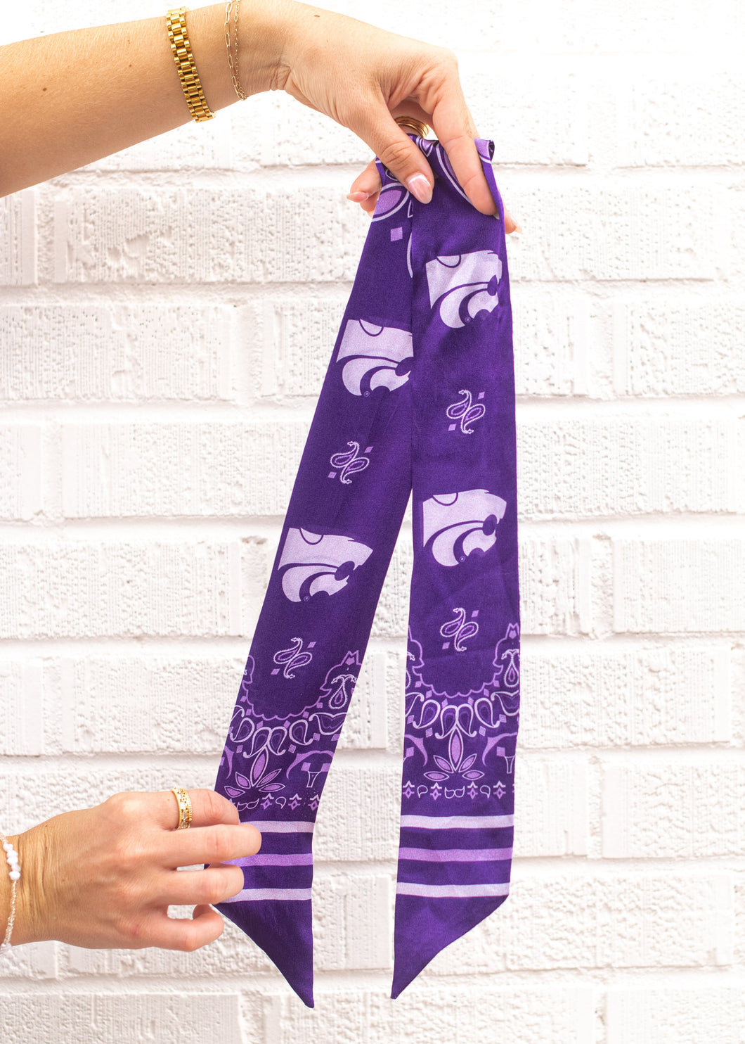 Powercat + Paisleys Twilly Scarf