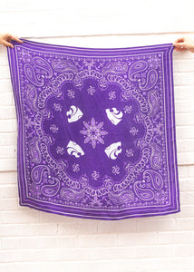Powercat + Paiselys Saturday Tie Scarf - Purple