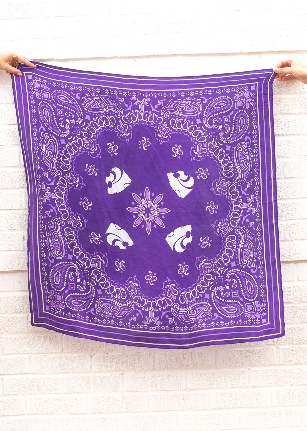 Powercat + Paiselys Saturday Tie Scarf - Purple